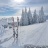 Ski_et_sapins-__Claude_Jaccard_copie.jpg